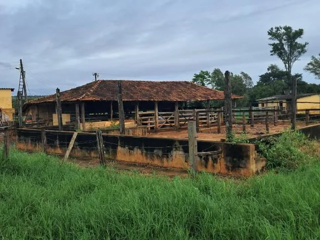Imagem 3: FAZENDA a venda 95ha em CURVELO/MG