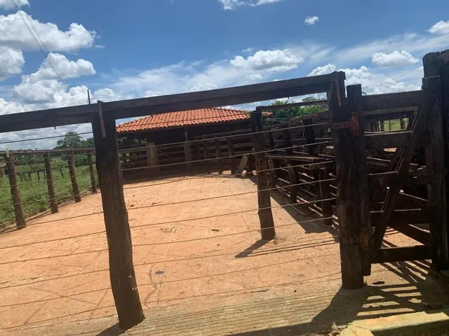 Imagem 13: FAZENDA a venda 95ha em CURVELO/MG