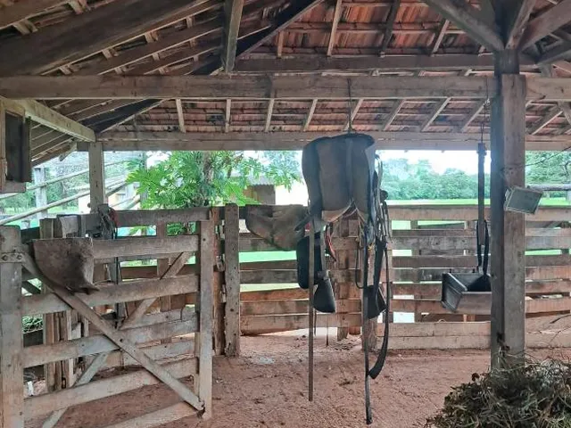 Imagem 12: FAZENDA a venda 95ha em CURVELO/MG