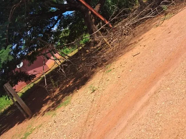 Imagem 9: FAZENDA a venda 95ha em CURVELO/MG