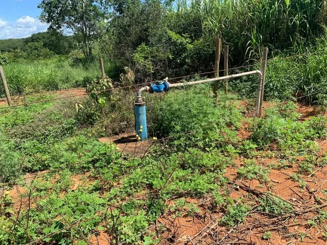 Imagem 10: FAZENDA a venda 95ha em CURVELO/MG