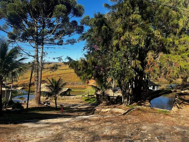 Imagem 7: Excelente fazendinha à venda em Carmópolis de Minas, com área total de 54 HECTARES