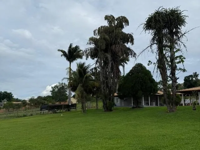 Imagem 7: Fazendinha de Alto Padrão à Venda em Nova Serrana/MG 50 hectares de terra