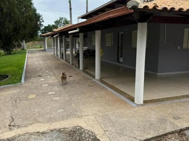 Imagem 2: Fazendinha de Alto Padrão à Venda em Nova Serrana/MG 50 hectares de terra