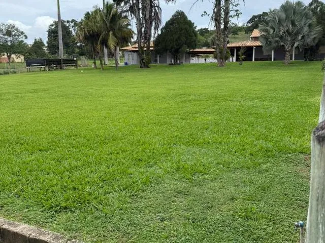 Imagem 3: Fazendinha de Alto Padrão à Venda em Nova Serrana/MG 50 hectares de terra