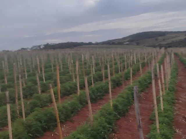 Imagem: FAZENDA À VENDA - CRUCILÂNDIA (MG) 120