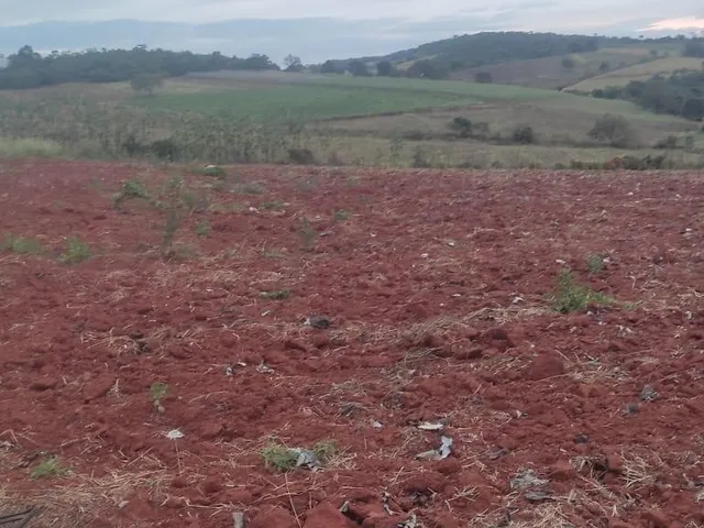 Imagem 2: FAZENDA À VENDA - CRUCILÂNDIA (MG) 120 hectares de área total