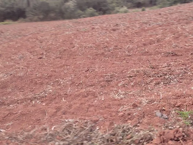 Imagem 3: FAZENDA À VENDA - CRUCILÂNDIA (MG) 120 hectares de área total