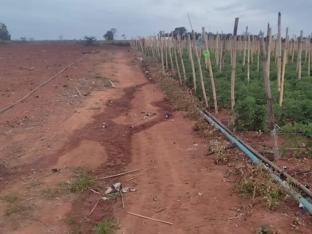 Imagem 5: FAZENDA À VENDA - CRUCILÂNDIA (MG) 120 hectares de área total