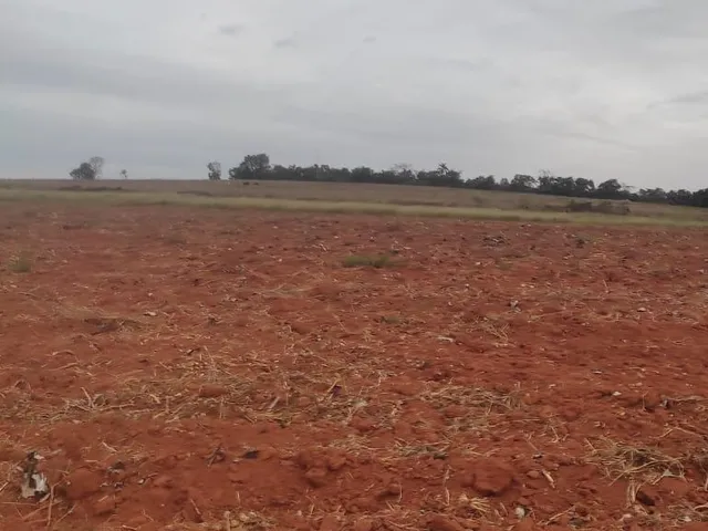 Imagem 6: FAZENDA À VENDA - CRUCILÂNDIA (MG) 120 hectares de área total