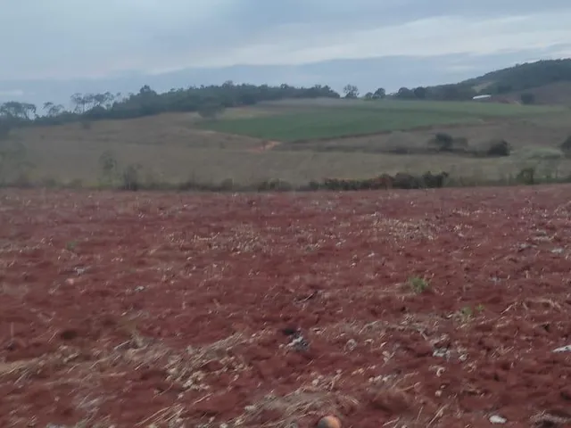 Imagem 8: FAZENDA À VENDA - CRUCILÂNDIA (MG) 120 hectares de área total