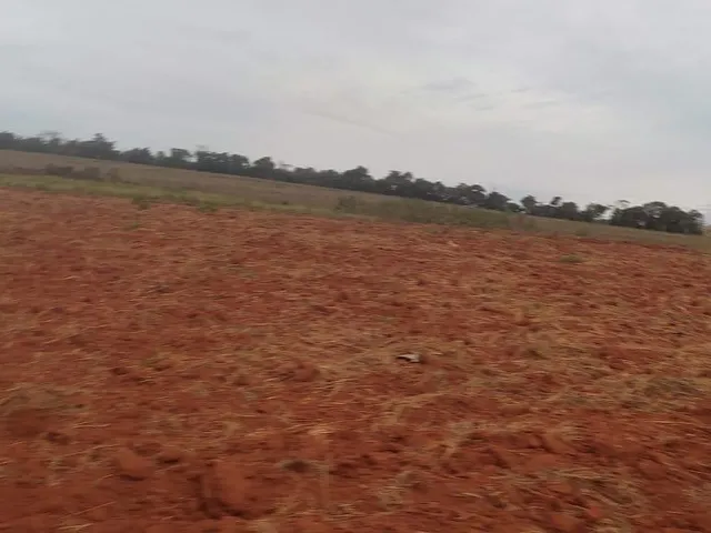 Imagem 10: FAZENDA À VENDA - CRUCILÂNDIA (MG) 120 hectares de área total