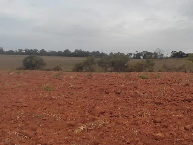 Imagem 11: FAZENDA À VENDA - CRUCILÂNDIA (MG) 120 hectares de área total