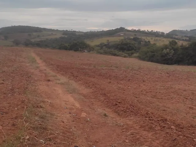 Imagem 12: FAZENDA À VENDA - CRUCILÂNDIA (MG) 120 hectares de área total