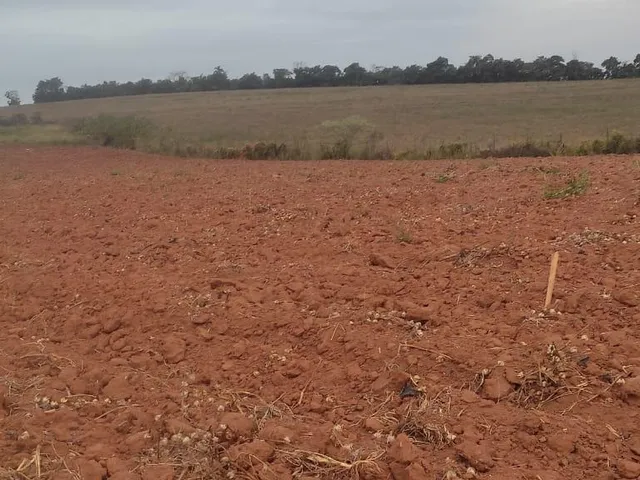 Imagem 15: FAZENDA À VENDA - CRUCILÂNDIA (MG) 120 hectares de área total