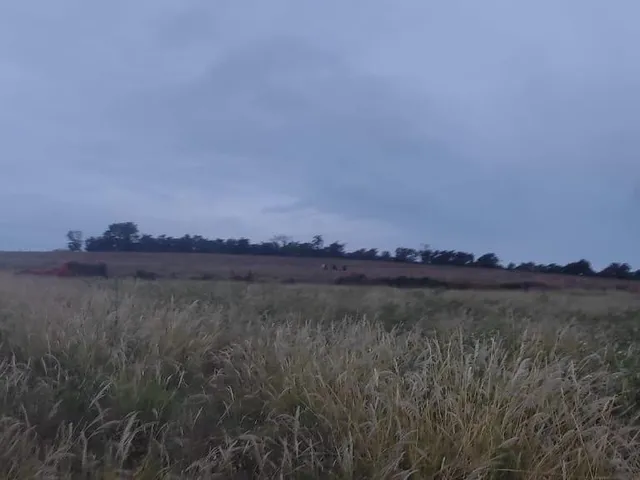 Imagem 16: FAZENDA À VENDA - CRUCILÂNDIA (MG) 120 hectares de área total