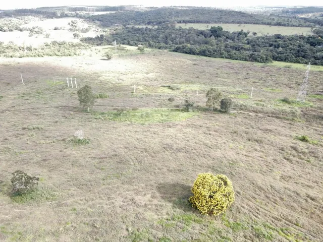 Imagem 8: FAZENDA DE ALTO PADRÃO À VENDA - CARMO DO CAJURU (MG) 120 hectares de área total