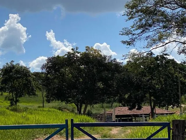 Imagem 4: FAZENDINHA PORTEIRA FECHADA À VENDA - CARMO DO CAJURU (MG) 37 hectares de área total