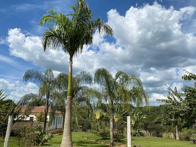 Imagem 15: FAZENDINHA PORTEIRA FECHADA À VENDA - CARMO DO CAJURU (MG) 37 hectares de área total