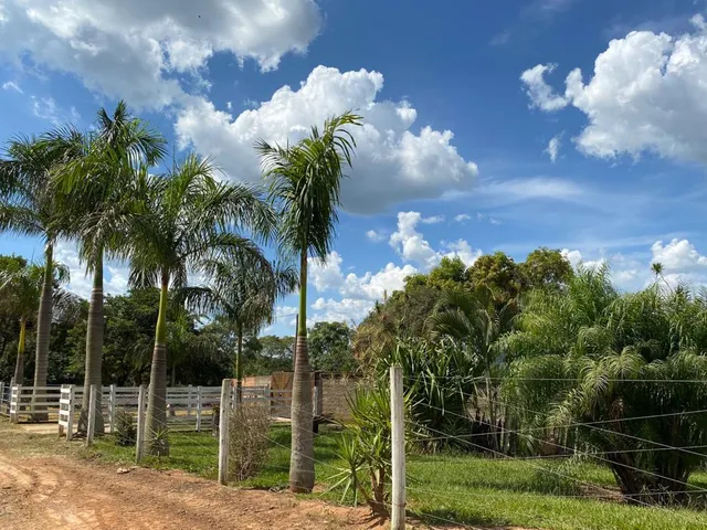 Imagem 9: FAZENDINHA PORTEIRA FECHADA À VENDA - CARMO DO CAJURU (MG) 37 hectares de área total