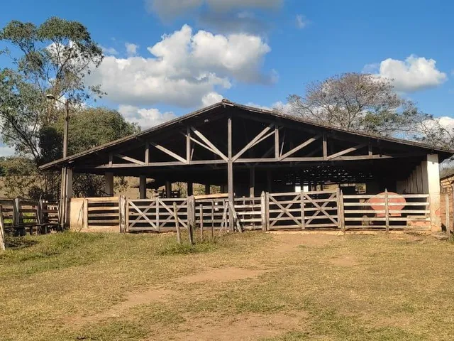 Imagem 5: Vendo uma excelente fazenda na região de Itaúna/MG 212 hectares de terra