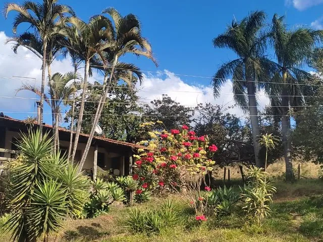 Imagem 11: Vendo uma excelente fazenda na região de Itaúna/MG 212 hectares de terra