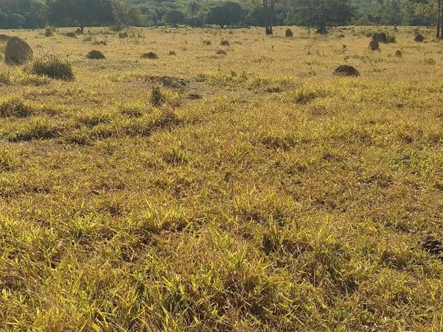Imagem 12: Vendo uma excelente fazenda na região de Itaúna/MG 212 hectares de terra