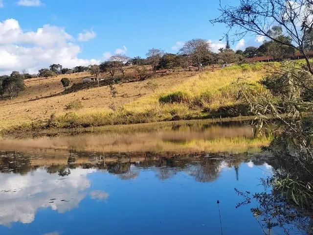 Imagem 13: Vendo uma excelente fazenda na região de Itaúna/MG 212 hectares de terra