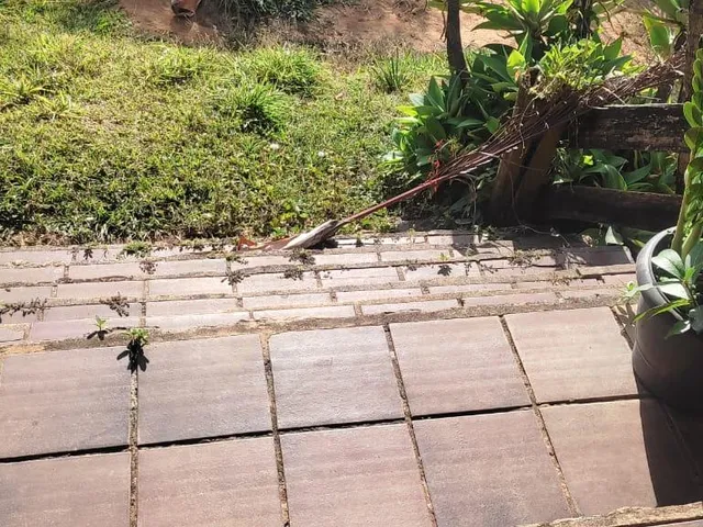Imagem 6: Vendo uma excelente fazenda na região de Itaúna/MG 212 hectares de terra