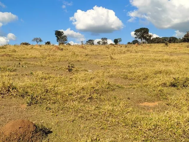 Imagem 7: Vendo uma excelente fazenda na região de Itaúna/MG 212 hectares de terra