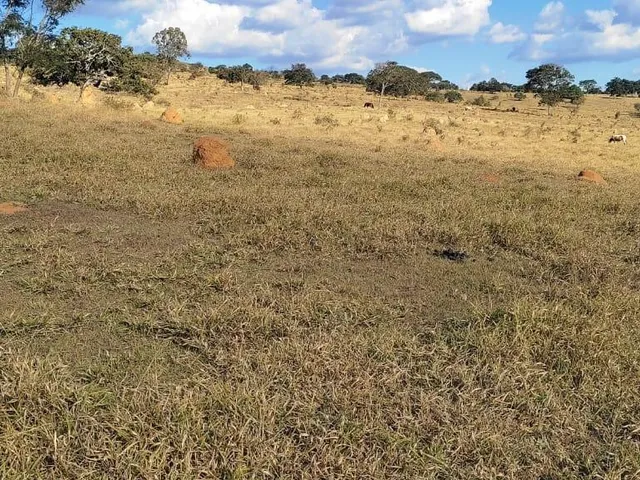 Imagem 16: Vendo uma excelente fazenda na região de Itaúna/MG 212 hectares de terra