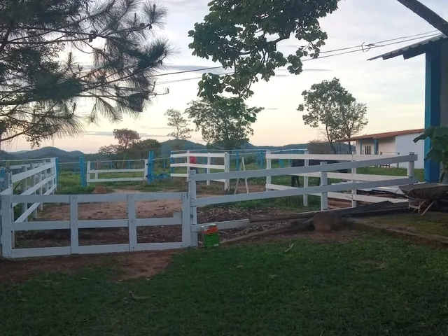 Imagem 16: Vendo excelente fazendinha em Esmeraldas/MG 78 hectares de terra