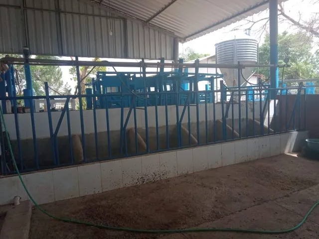 Imagem 5: Vendo excelente fazendinha em Esmeraldas/MG 78 hectares de terra