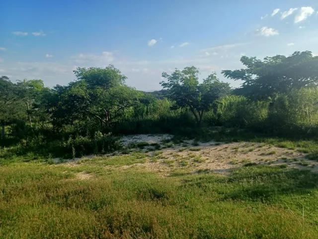 Imagem 6: Vendo excelente fazendinha em Esmeraldas/MG 78 hectares de terra