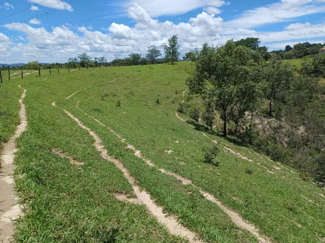 Imagem 9: Vendo excelente fazendinha em Esmeraldas/MG 78 hectares de terra