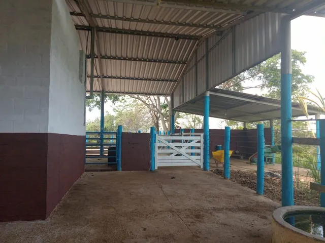 Imagem 10: Vendo excelente fazendinha em Esmeraldas/MG 78 hectares de terra