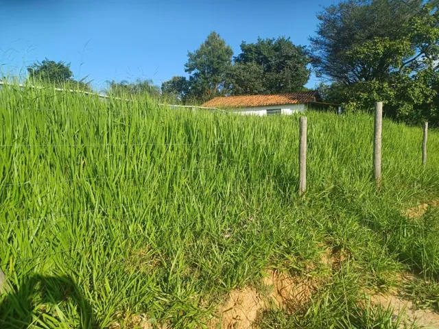 Imagem 11: Vendo excelente fazendinha em Esmeraldas/MG 78 hectares de terra