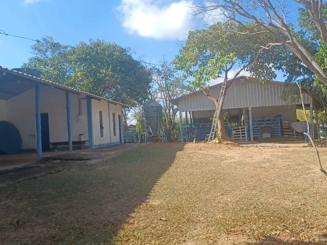 Imagem 12: Vendo excelente fazendinha em Esmeraldas/MG 78 hectares de terra