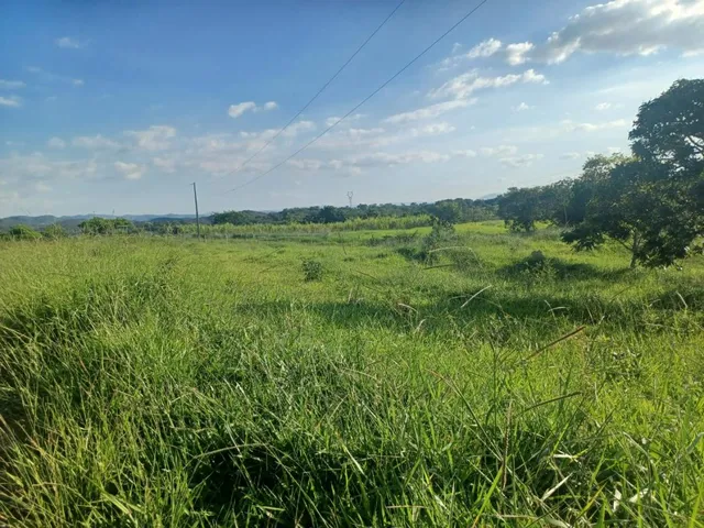 Imagem 13: Vendo excelente fazendinha em Esmeraldas/MG 78 hectares de terra