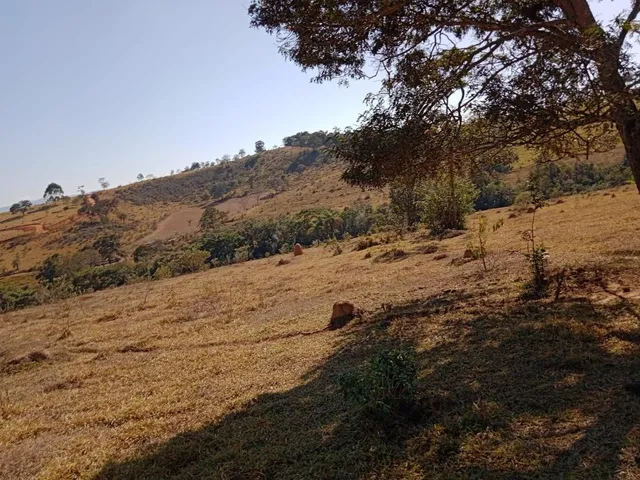Imagem 3: Vendo Excelente Fazenda em Bonfim/Mg 90 Hectares de Terra