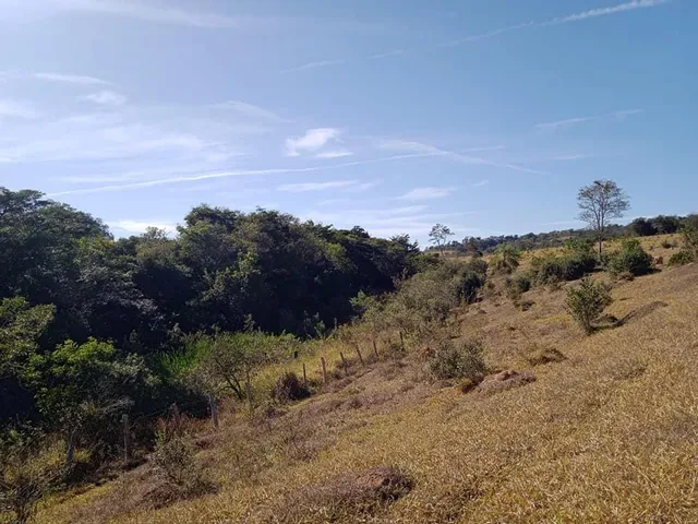 Imagem 10: Vendo Excelente Fazenda em Bonfim/Mg 90 Hectares de Terra
