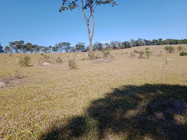 Imagem 12: Vendo Excelente Fazenda em Bonfim/Mg 90 Hectares de Terra