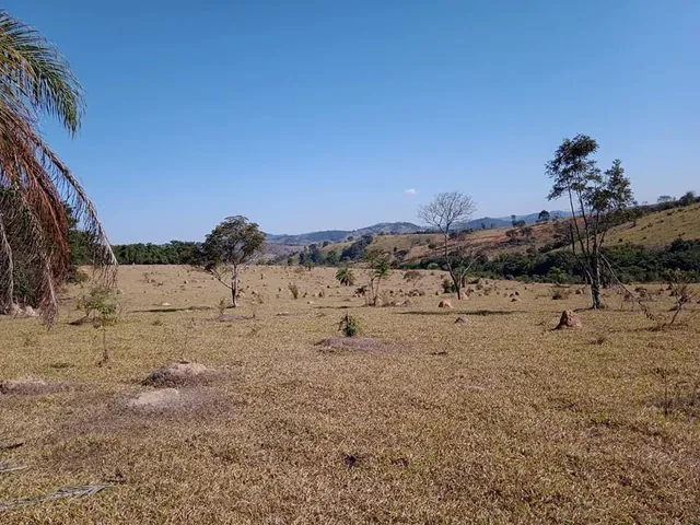 Imagem 13: Vendo Excelente Fazenda em Bonfim/Mg 90 Hectares de Terra