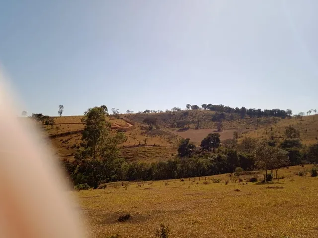 Imagem 14: Vendo Excelente Fazenda em Bonfim/Mg 90 Hectares de Terra
