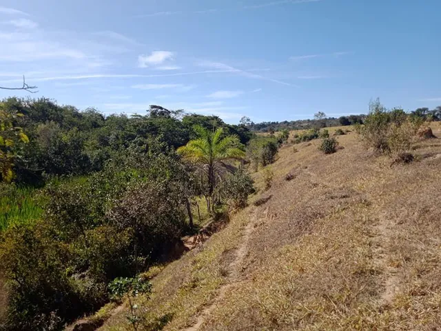 Imagem 15: Vendo Excelente Fazenda em Bonfim/Mg 90 Hectares de Terra