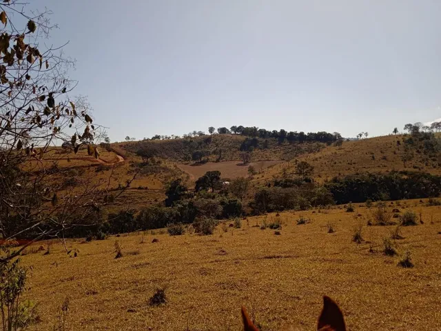 Imagem 5: Vendo Excelente Fazenda em Bonfim/Mg 90 Hectares de Terra