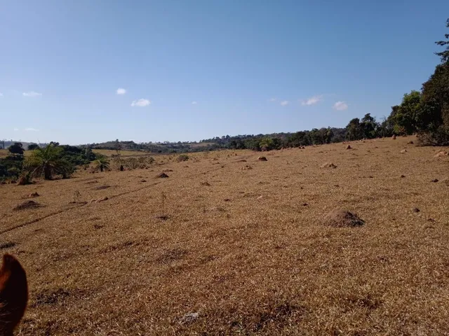 Imagem 6: Vendo Excelente Fazenda em Bonfim/Mg 90 Hectares de Terra