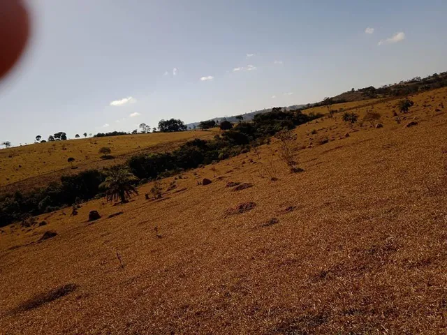 Imagem 7: Vendo Excelente Fazenda em Bonfim/Mg 90 Hectares de Terra