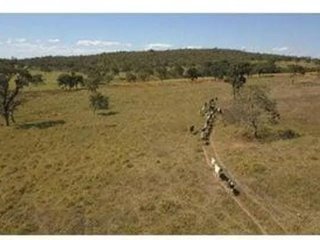 Imagem 10: Fazenda Completa e Produtiva em Curvelo/MG 535 hectares