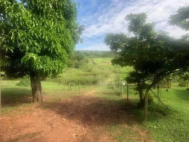 Imagem 2: Excelente Fazenda em Funilândia/MG 112 hectares de terra